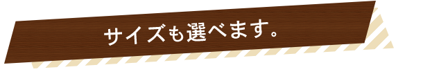 サイズも選べます。